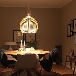 Modern Gold Pendant Light Fixture